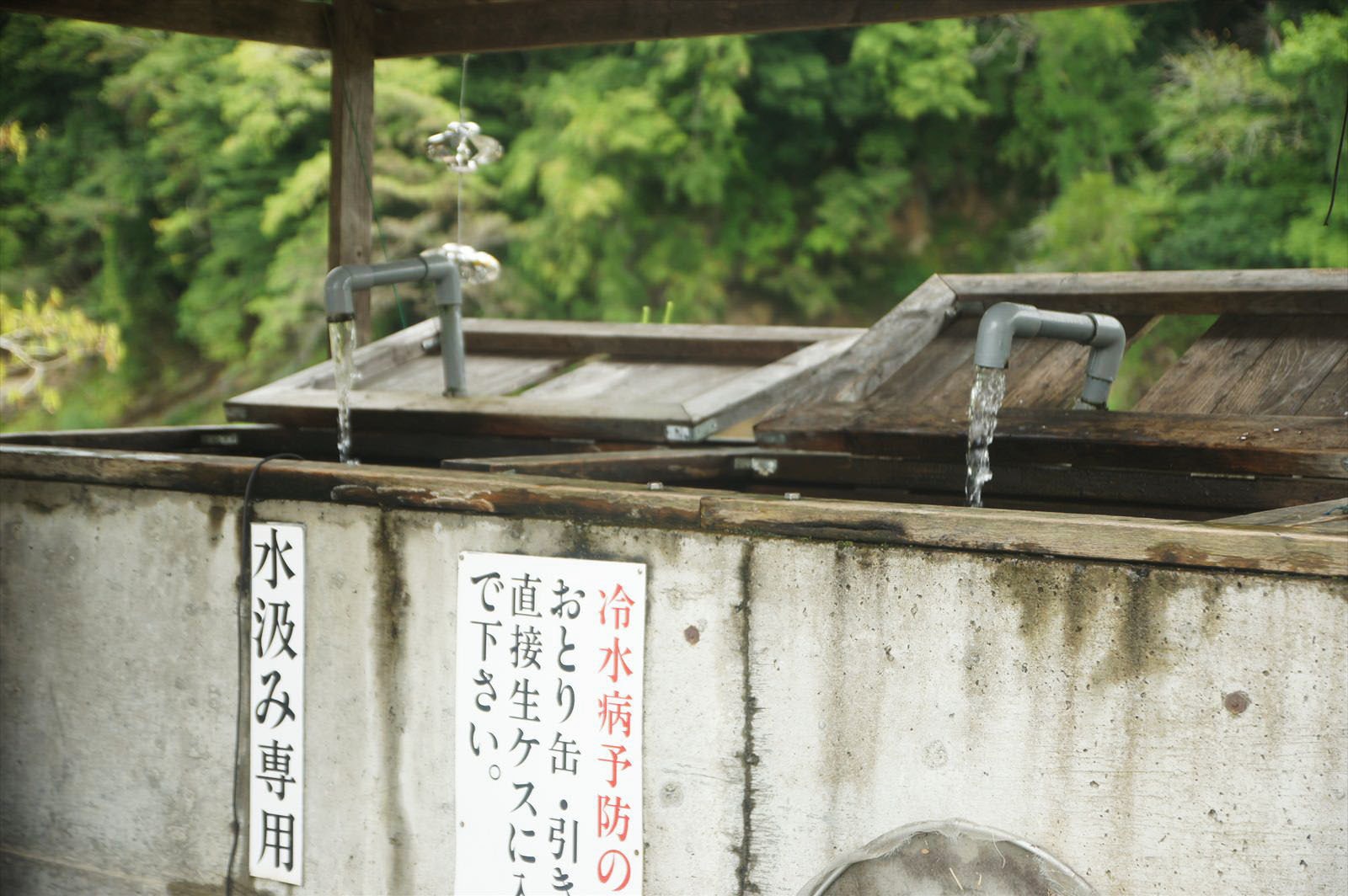 お食事処うめ吉。久慈川の天然鮎・塩焼き。茨城奥久慈大子町