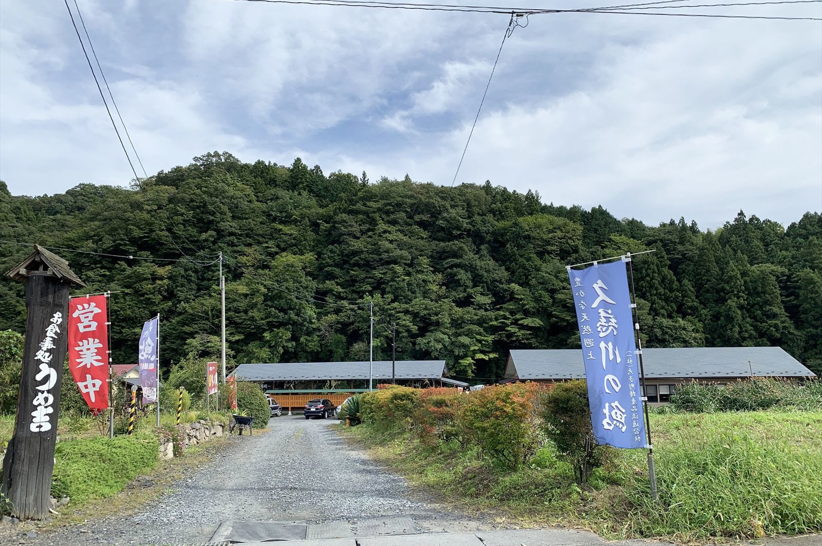 茨城大子・久慈川の天然鮎の塩焼き。お食事処うめ吉