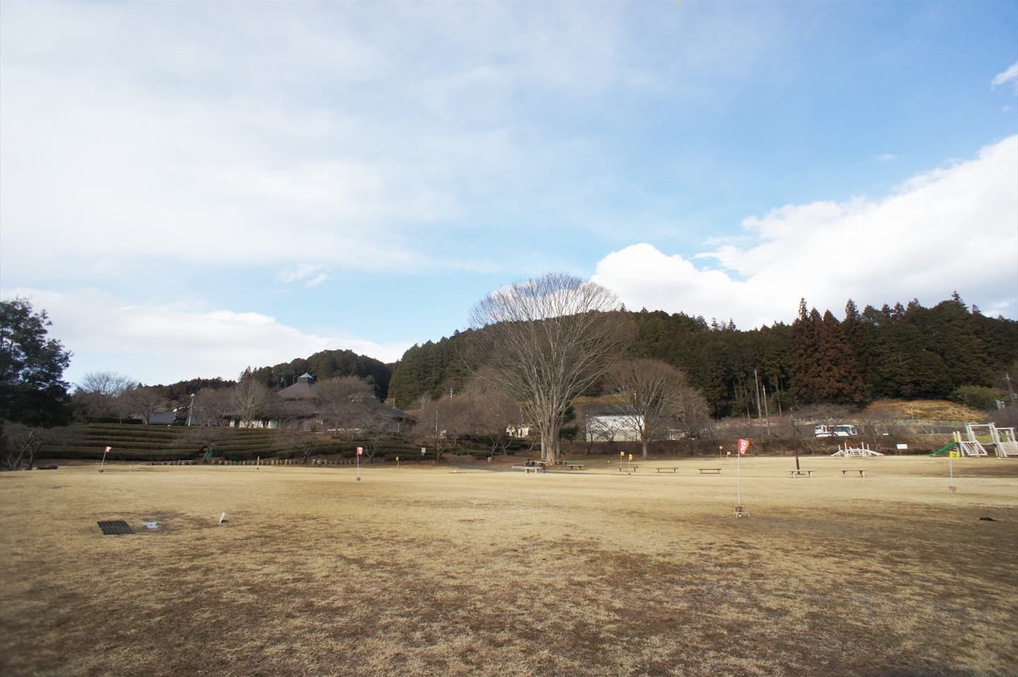 奥久慈茶の里公園